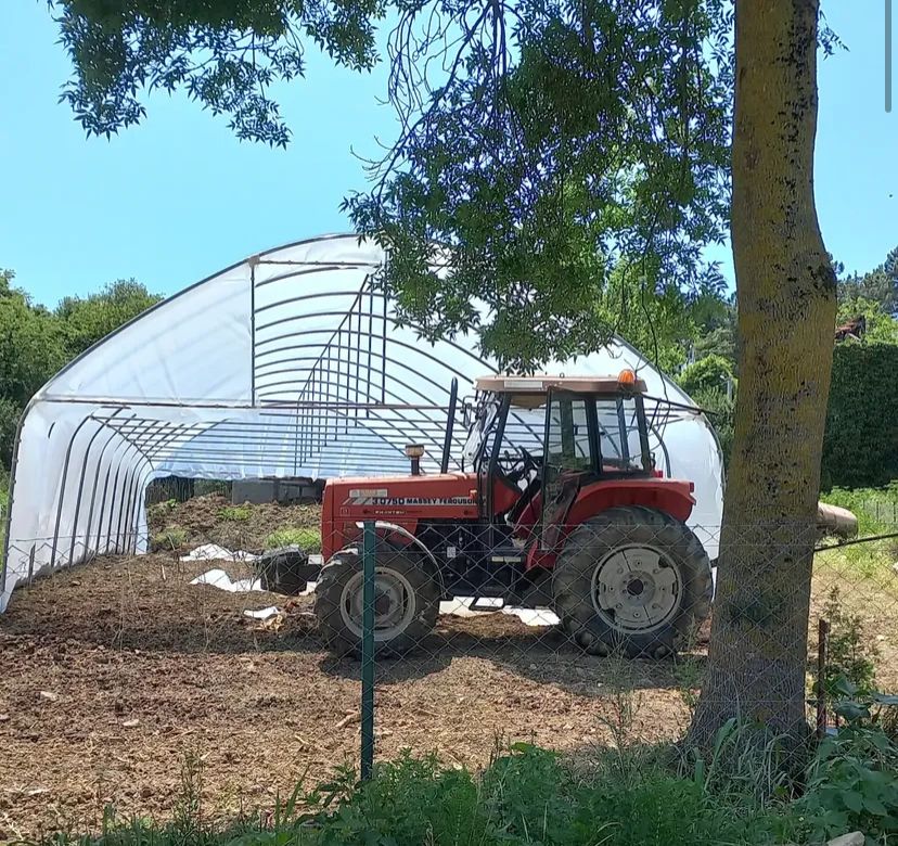 Zyn Tingöz Seracılık